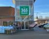 365discount Svenstrup