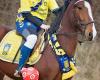 Brøndby Ny Rideklub