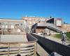 Gentofte Skole