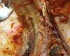 Glud Pizza
