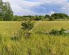Hedeland Naturlegeplads