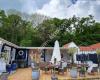 Hotel Villa Brinkly