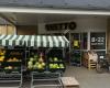 Netto