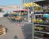 Netto