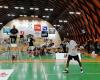 Skovshoved Badminton