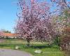 Solgaven