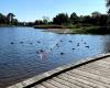 Sunds Lege Park