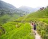 Topas Travel